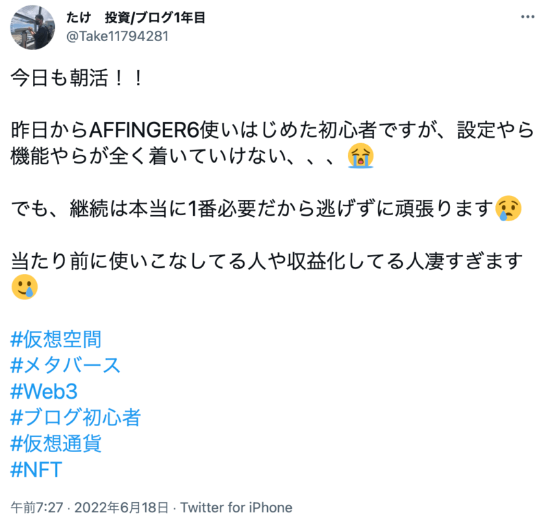 AFFINGER6(アフィンガー6)の評判・レビュー・口コミ